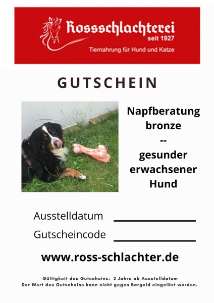 Gutschein "Napfberatung - gesunder erwachsener Hund"